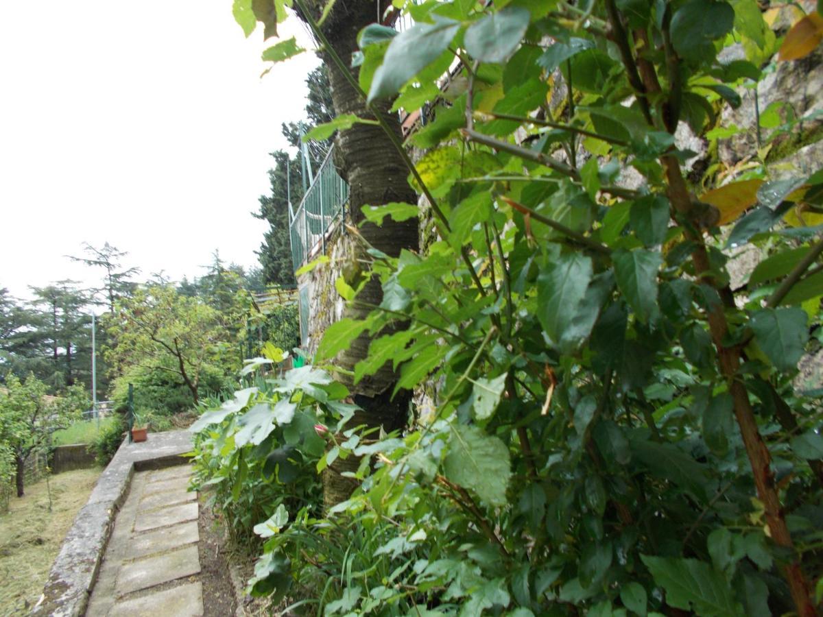 La Vecchia Locanda Castelnuovo di Val di Cecina Exterior foto