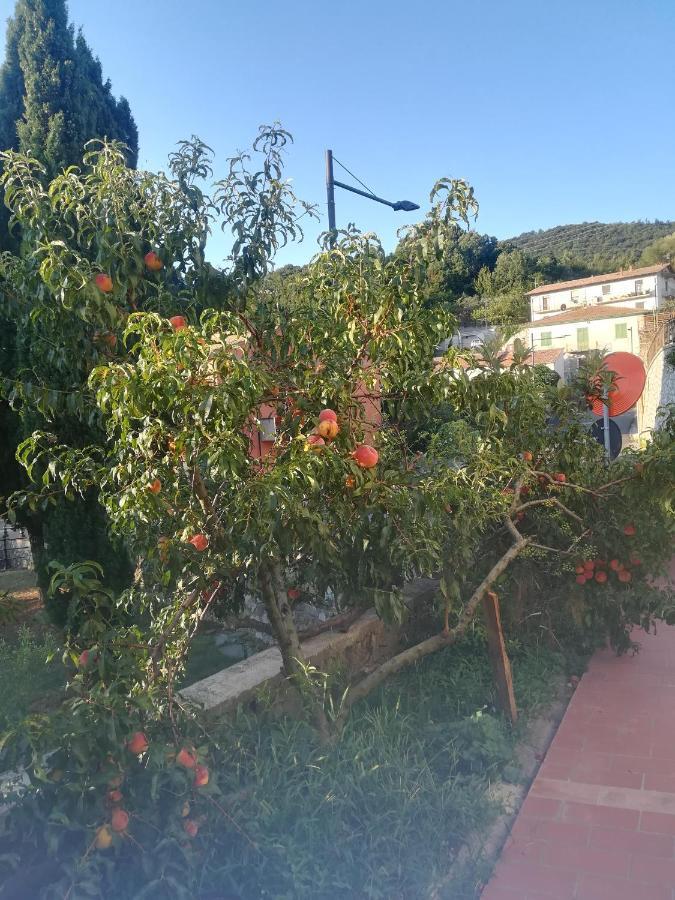 La Vecchia Locanda Castelnuovo di Val di Cecina Exterior foto